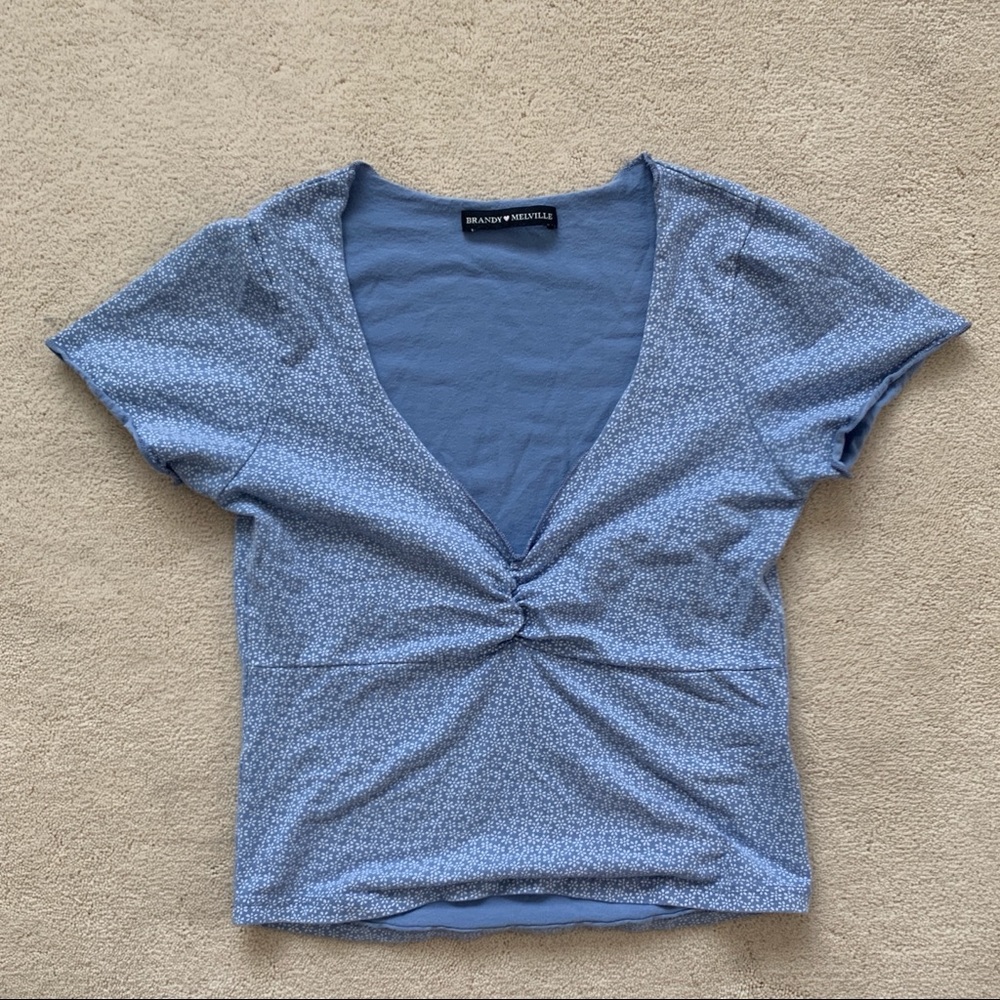 Brandy Melville Gina Top in Blue Floral